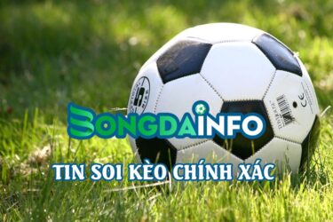 Soi kèo tại Bongdainfo: Không phải may rủi, mà là chọn đúng thời điểm