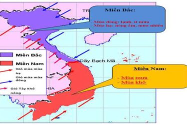 Vị trí địa lý nước ta nằm ở đâu? Tìm hiểu chi tiết và chính xác